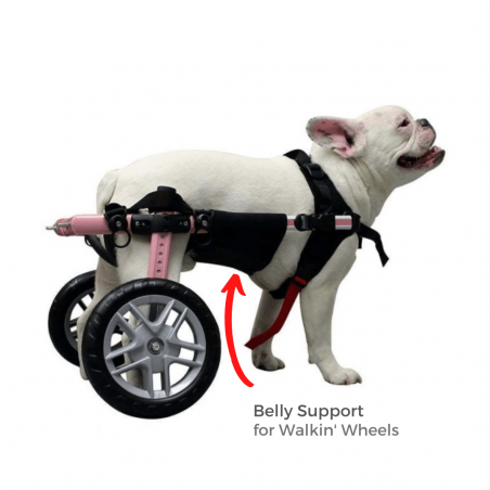 Belly Support for Walkin' Wheels