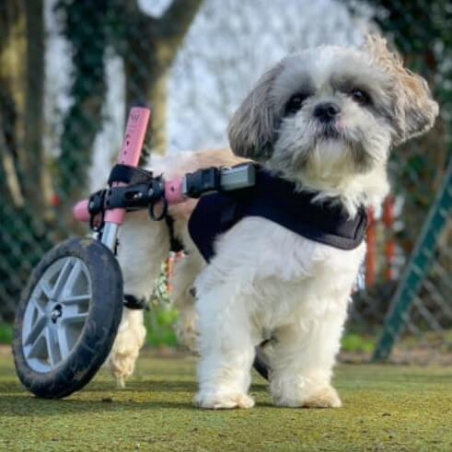 front vest for small dog wheelchair